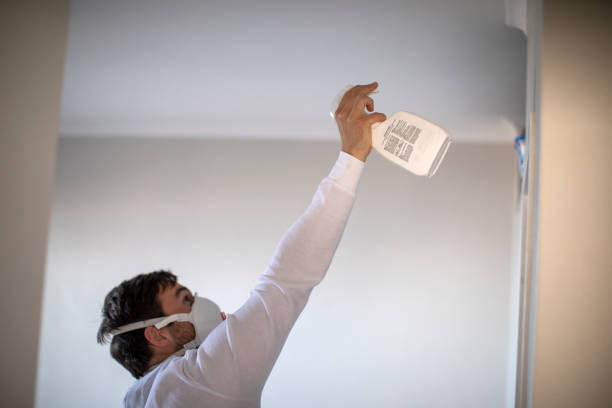 Best Attic Mold Remediation in Lindsay, CA