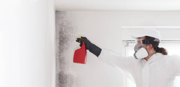 Best Post-Flood Mold Remediation in Lindsay, CA
